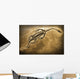 Fossil Wall Mural