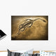 Fossil Wall Mural