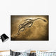 Fossil Wall Mural