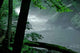 Misty Morning Stream Wall Decal