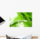 Water Drops on the Green Grass Wall Mural