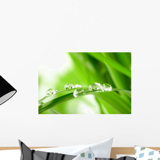Water Drops on the Green Grass Wall Mural