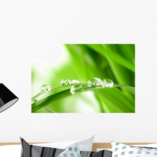 Water Drops on the Green Grass Wall Mural