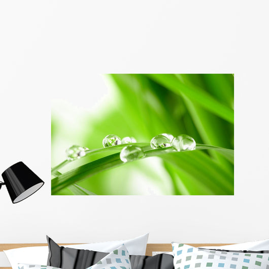 Water Drops on the Green Grass Wall Mural
