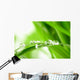 Water Drops on the Green Grass Wall Mural
