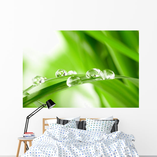 Water Drops on the Green Grass Wall Mural