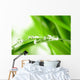 Water Drops on the Green Grass Wall Mural