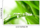 Water Drops on the Green Grass Wall Mural