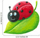 Cute ladybug on green leaf Wall Decal