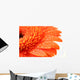 Orange Flower Wall Mural