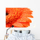 Orange Flower Wall Mural