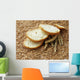 wheat bread and wheat ears and seeds Wall Mural