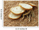 wheat bread and wheat ears and seeds Wall Mural