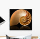 Nautilus shell Wall Mural