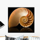 Nautilus shell Wall Mural