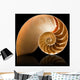 Nautilus shell Wall Mural