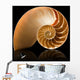 Nautilus shell Wall Mural