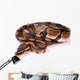 Royal Python Wall Decal