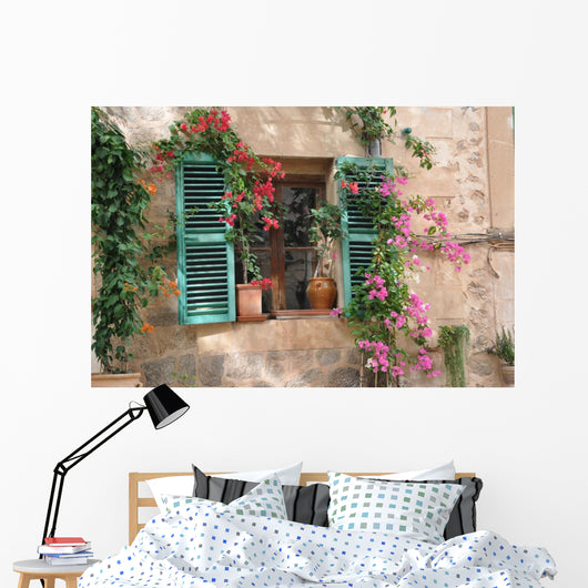 Window