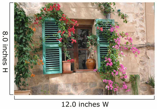 Window