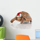 Christmas Turtle