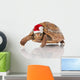 Christmas Turtle
