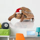 Christmas Turtle