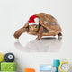 Christmas Turtle