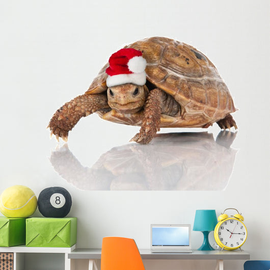 Christmas Turtle