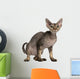 Cat Sitting in Front of White Background Wall Decal
