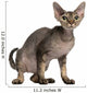 Cat Sitting in Front of White Background Wall Decal
