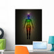 Human Energy Body Aura Wall Mural