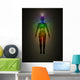 Human Energy Body Aura Wall Mural