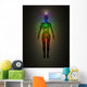 Human Energy Body Aura Wall Mural