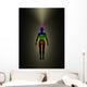 Human Energy Body Aura Wall Mural