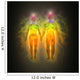 Human Energy Body Aura Wall Mural