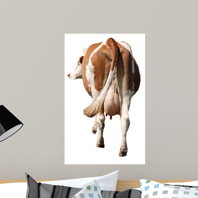 Back Cow shown on a wall
