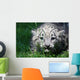 Snow Leopard Wall Mural