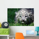 Snow Leopard Wall Mural