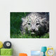 Snow Leopard Wall Mural