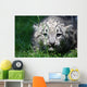 Snow Leopard Wall Mural