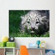 Snow Leopard Wall Mural