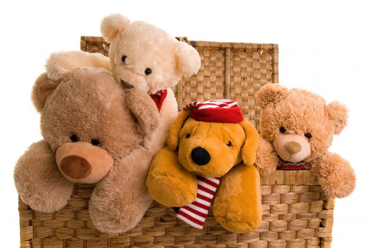 Teddys Toy Chest