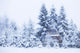 Winter landscape Wall Mural