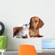 British Kitten and Dog Dachshund Wall Decal