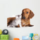 British Kitten and Dog Dachshund Wall Decal