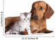 British Kitten and Dog Dachshund Wall Decal