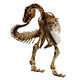 Trex Bones 06 Wall Decal