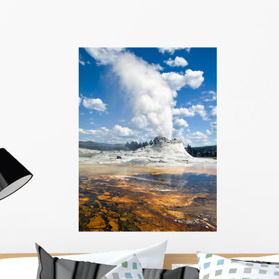 Castle Geyser Yellowstone Wall Mural shown on a wall