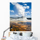 Castle Geyser Yellowstone Wall Mural